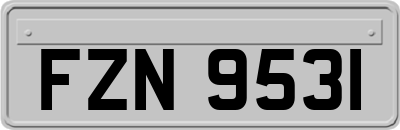 FZN9531
