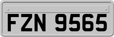 FZN9565