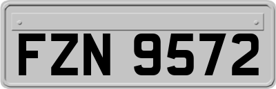 FZN9572