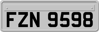 FZN9598