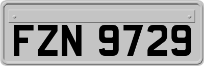 FZN9729