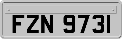 FZN9731