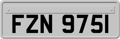 FZN9751
