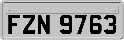 FZN9763