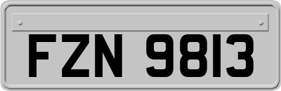FZN9813