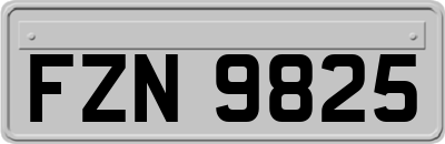 FZN9825