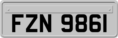 FZN9861