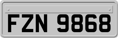 FZN9868