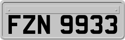 FZN9933