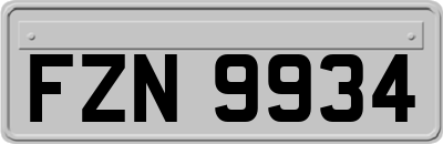 FZN9934