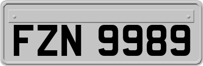 FZN9989