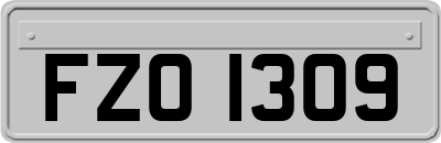 FZO1309