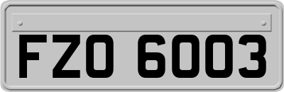 FZO6003