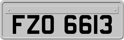 FZO6613