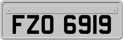 FZO6919