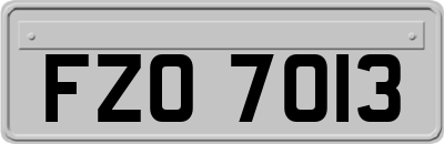 FZO7013