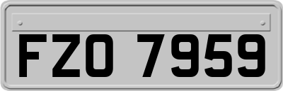 FZO7959
