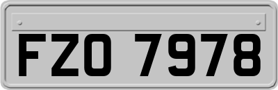 FZO7978