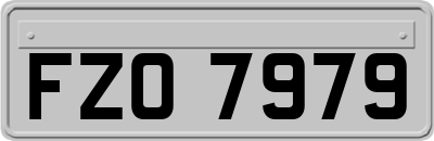 FZO7979