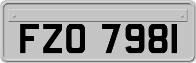 FZO7981