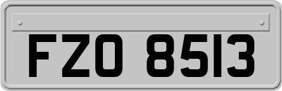 FZO8513