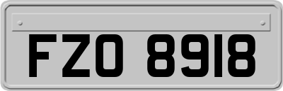 FZO8918