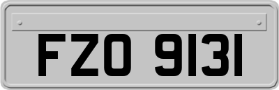 FZO9131