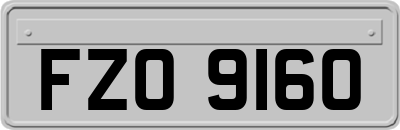FZO9160