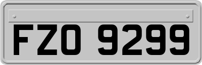FZO9299