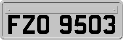 FZO9503