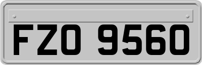 FZO9560