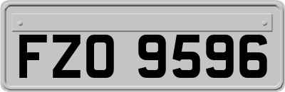 FZO9596