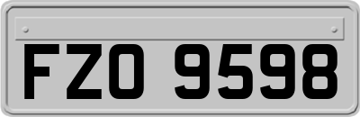 FZO9598