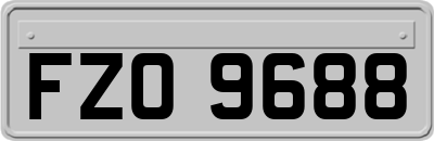 FZO9688