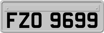 FZO9699