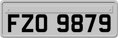 FZO9879