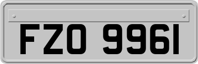 FZO9961