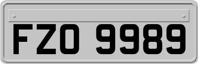 FZO9989