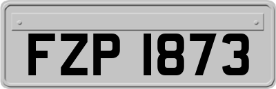 FZP1873