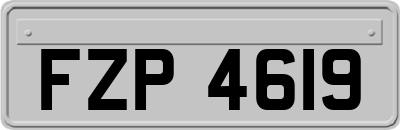 FZP4619