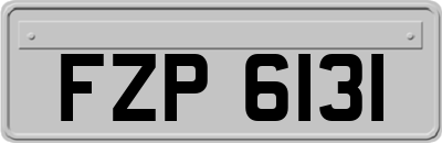 FZP6131