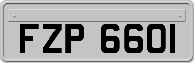 FZP6601