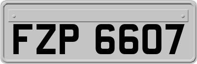 FZP6607