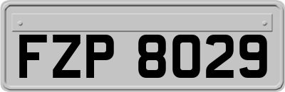 FZP8029