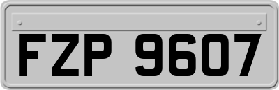 FZP9607