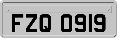 FZQ0919