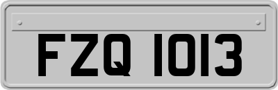 FZQ1013