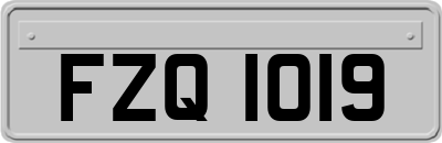 FZQ1019