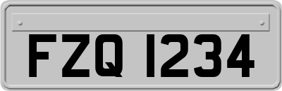 FZQ1234