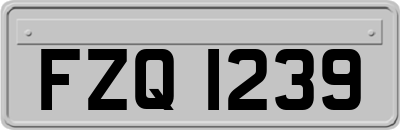 FZQ1239